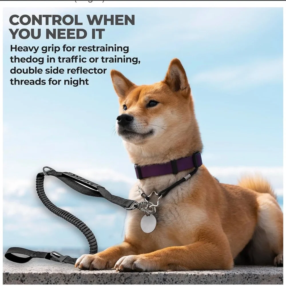 Heavy Duty Dual Handle Dog Leash with Bungee Cord, Seat Belt Loop, Poop Bag